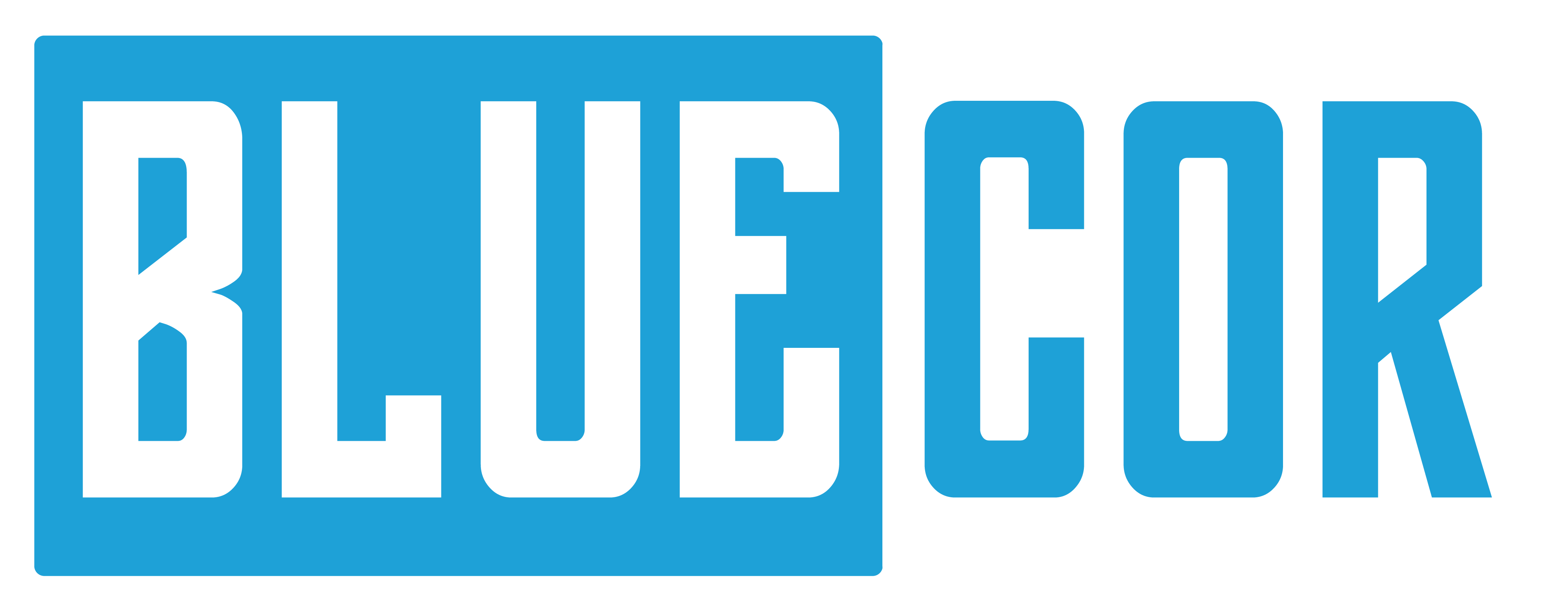 About us bluecor